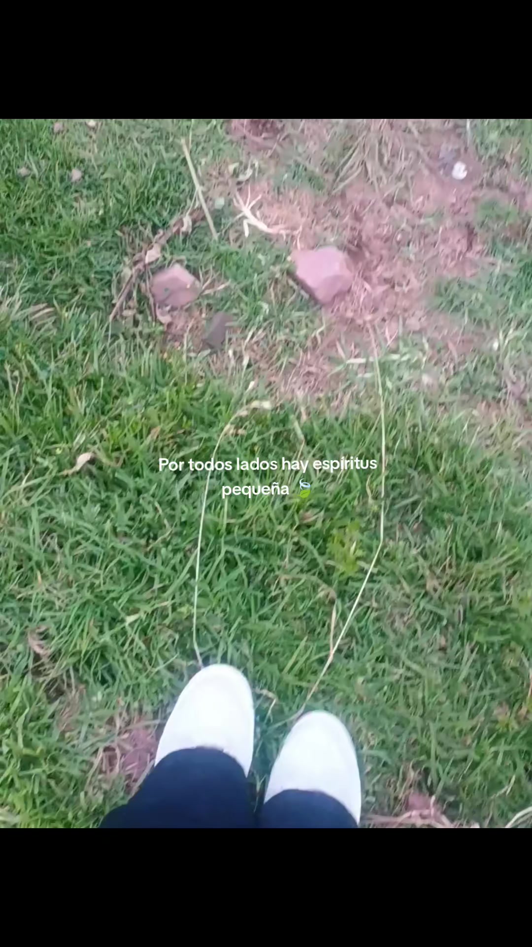 @Fernanda