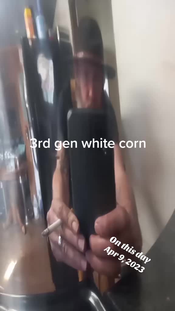 @moonshinerjay