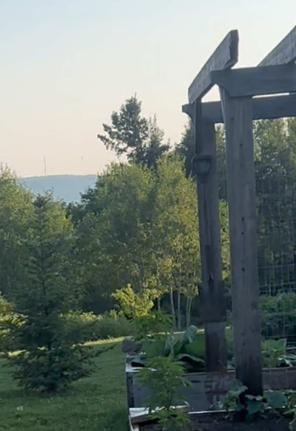 @Clarkanada🇨🇦