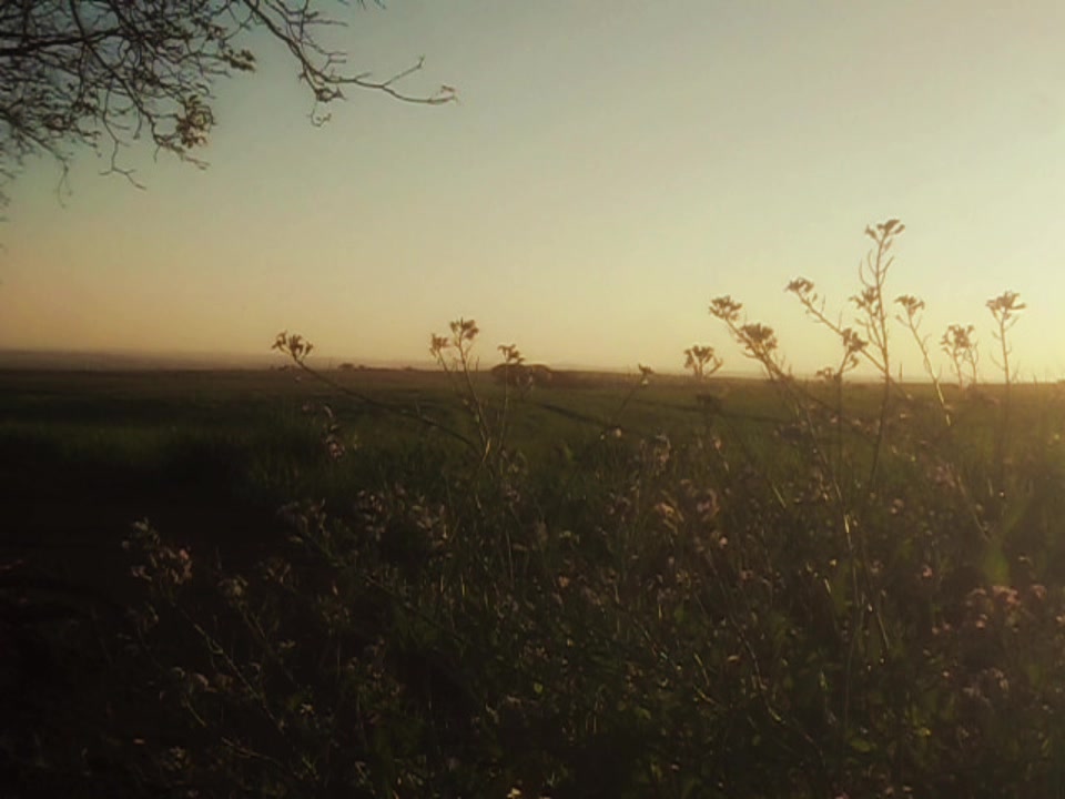 @Silent Refuges