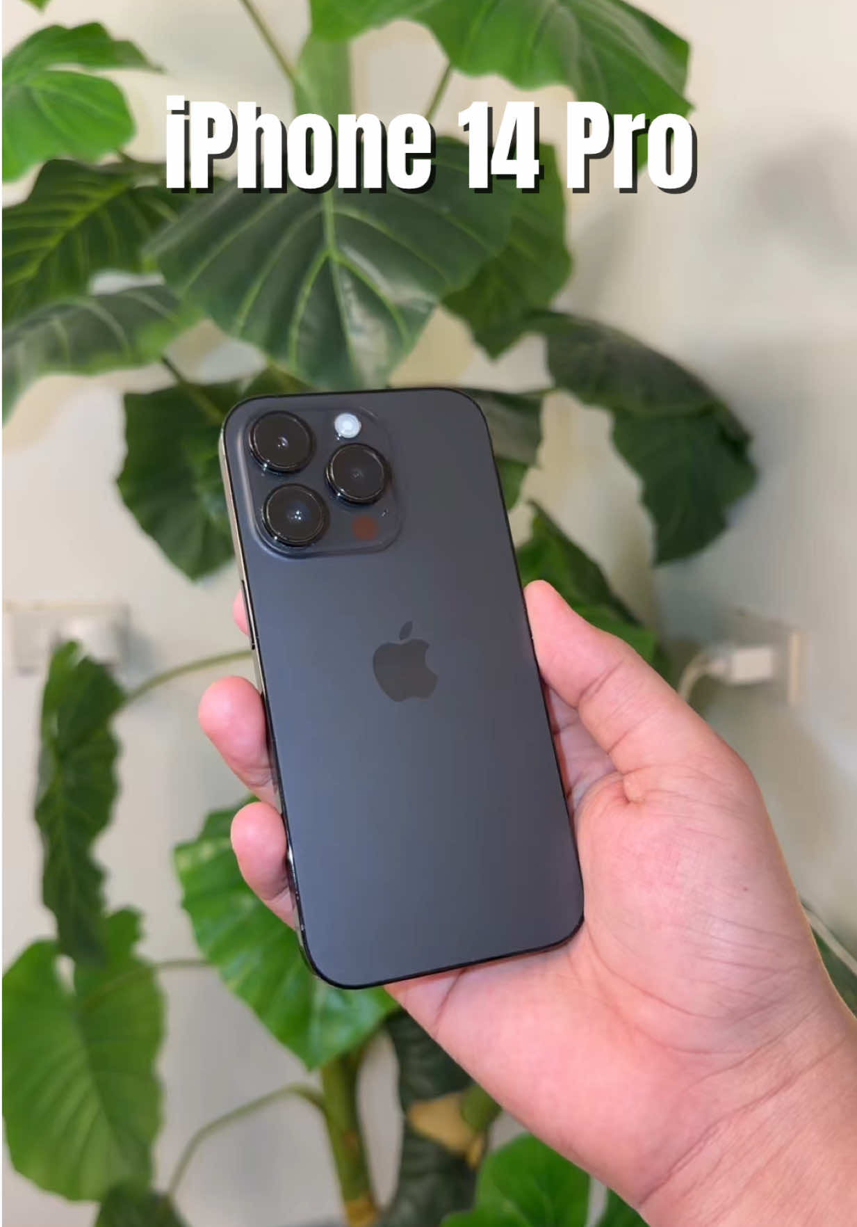 @iPhonary 🩷