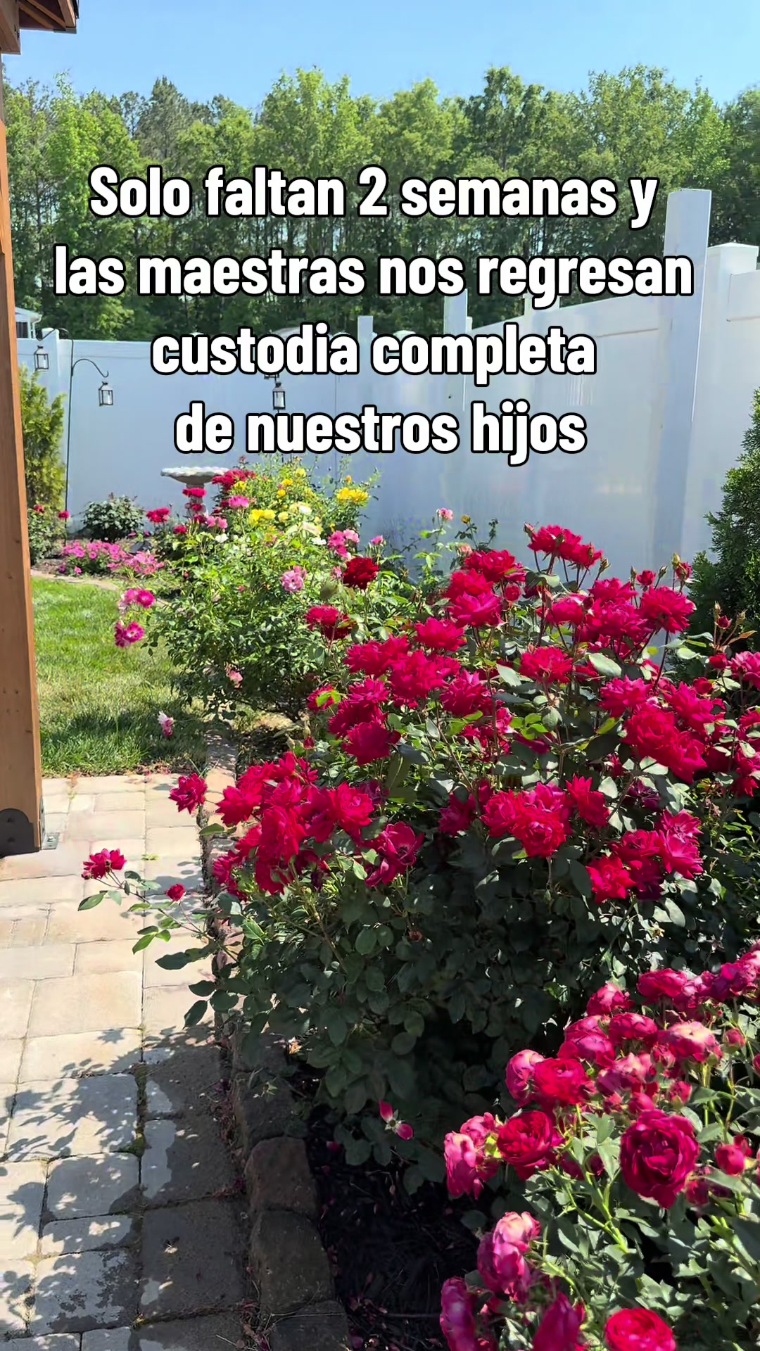 @Yoha Home Design