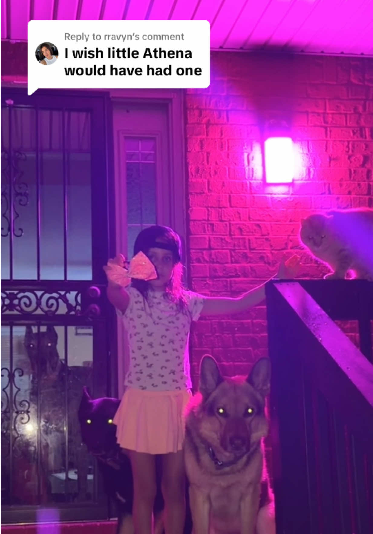 @🪶TheN8tiveDogfather🐾