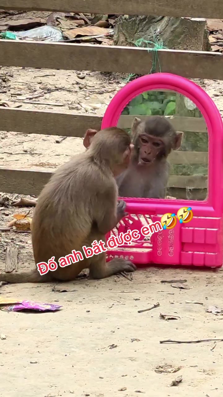 @Sơn_37🇻🇳💝🇻🇳💝🇻🇳