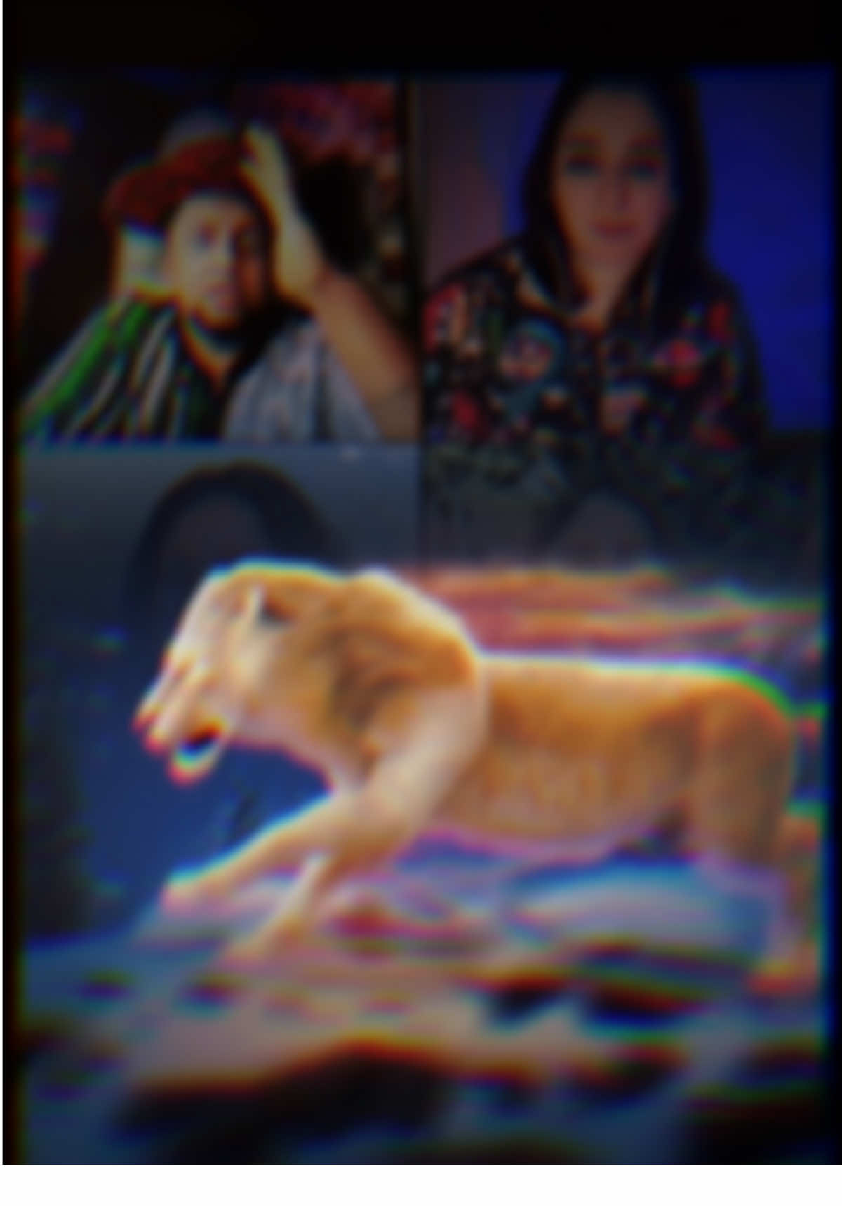 @__𝖇_𝖎_𝖑_𝖑_𝖚______🕊️