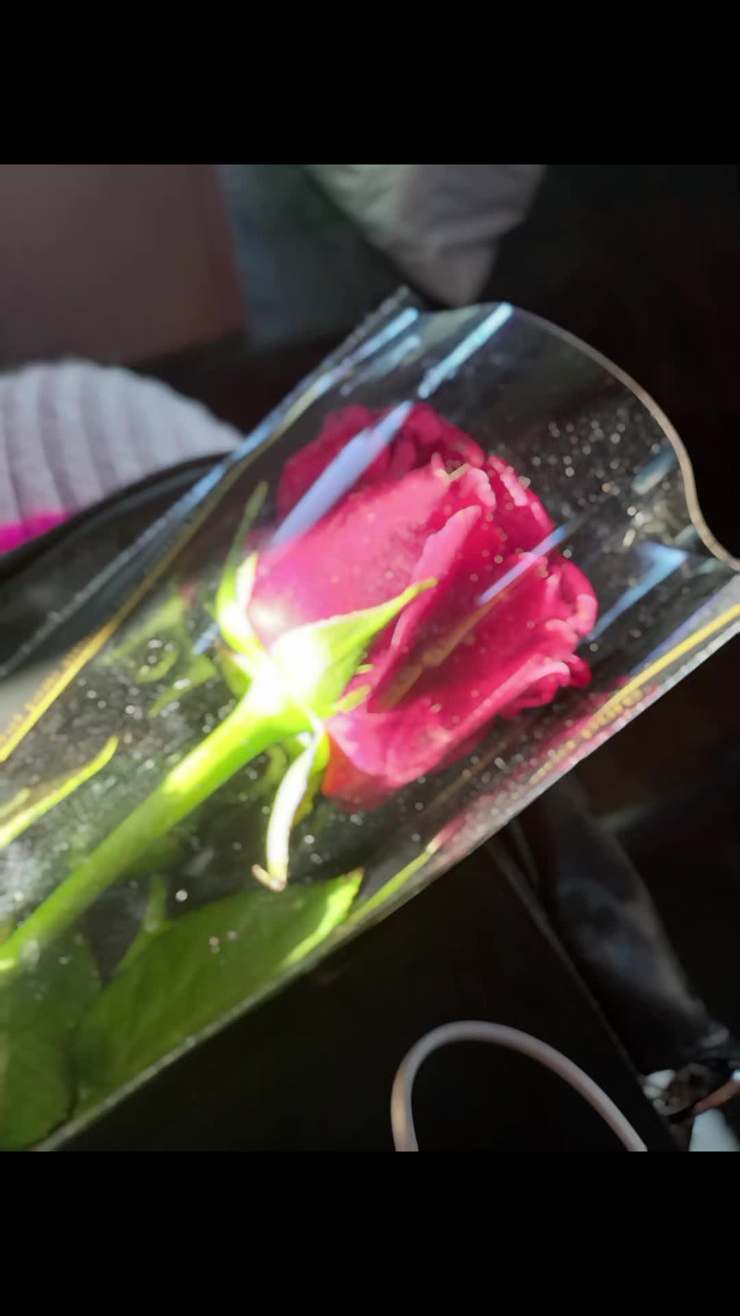 @Thiziry06