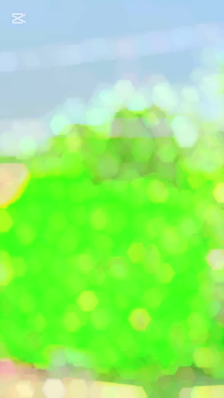 @بلال بھٹی ساہیوال والا804👑