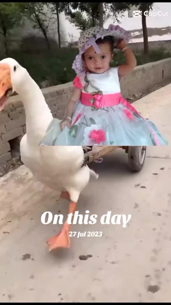 @sarmilakatwalPoudel466
