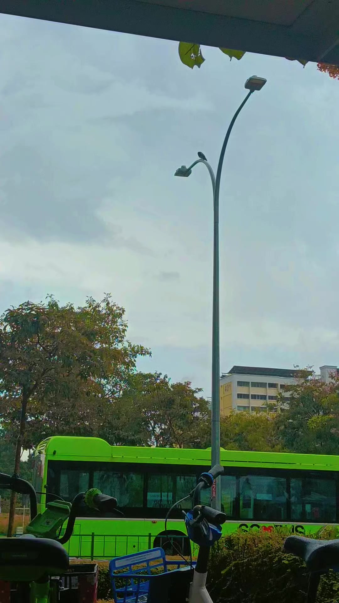 @ꜱᴏʟᴏᴋɪɴɢ🫅