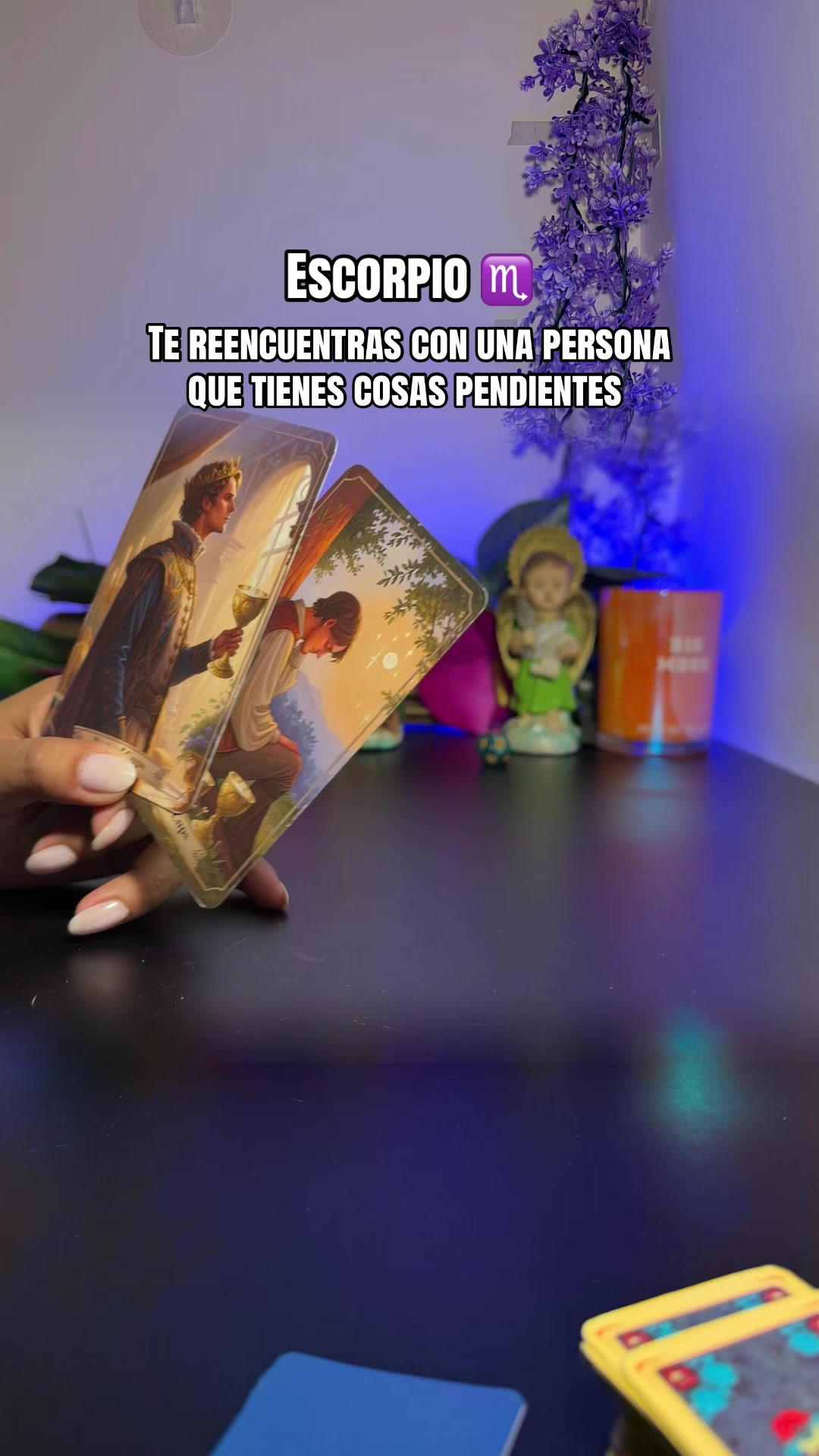 @camitarot77