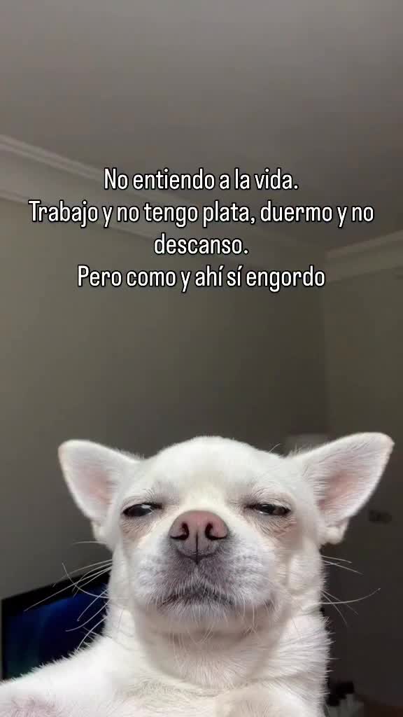 @𝕰𝖑_𝑮𝑼𝑬𝑹𝑹𝑬𝑹𝑶_🇲🇽👑✌