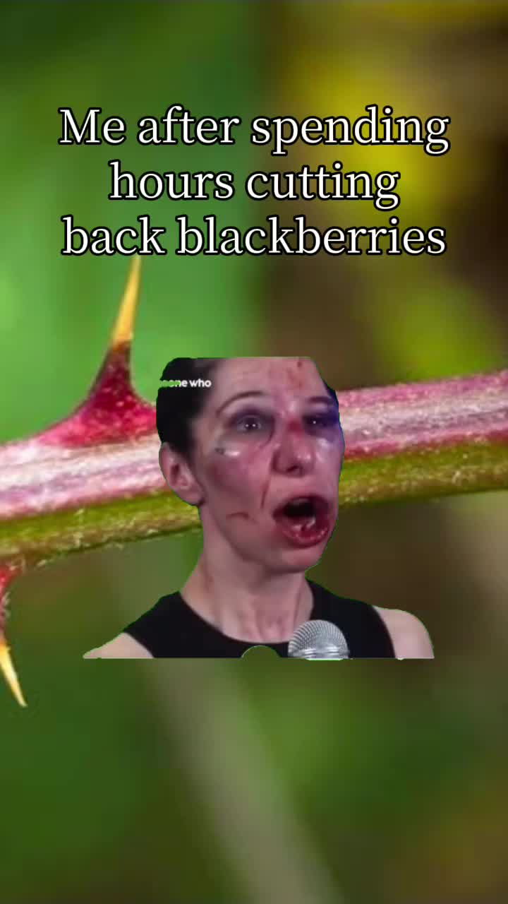 @NessaSays