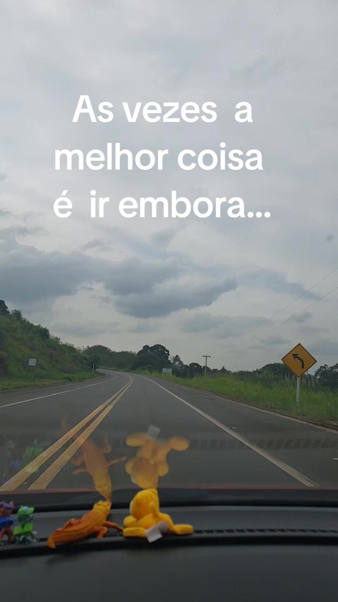 @Carla Santos