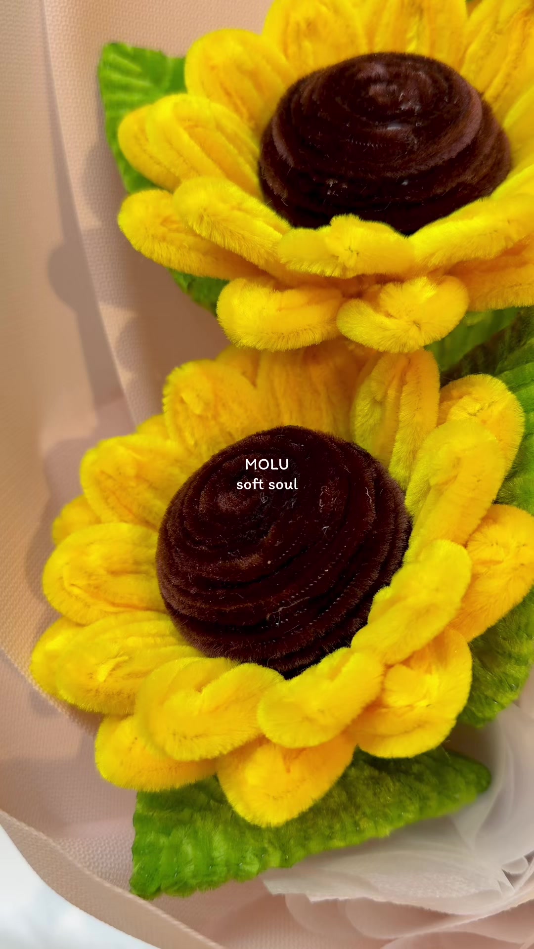 @MOLU soft soul