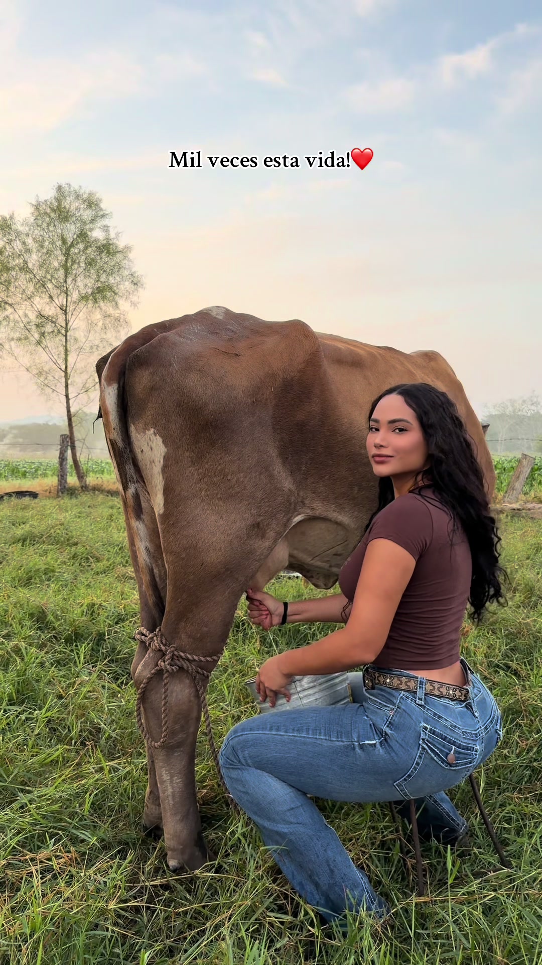 @alejandra.kandy