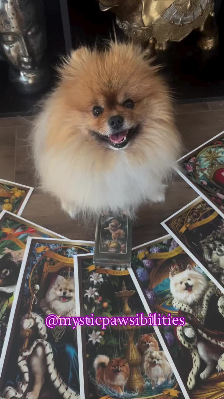 @Mystic Pawsibilities