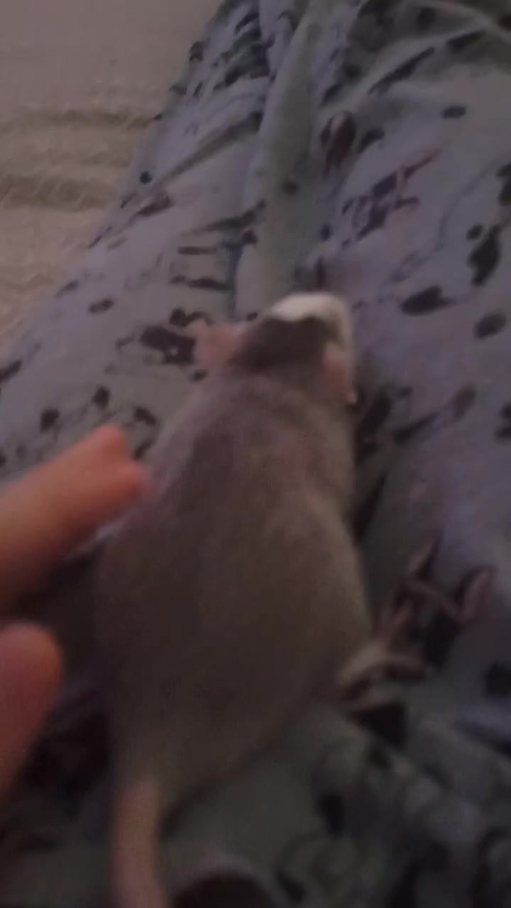 @оня🐈⬛