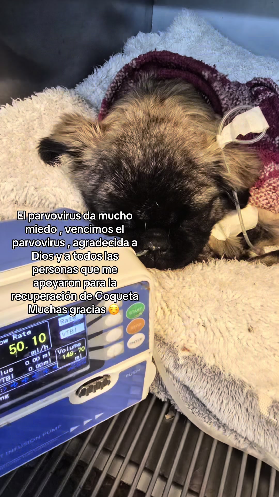 @Rosseita❤️🩹🖤