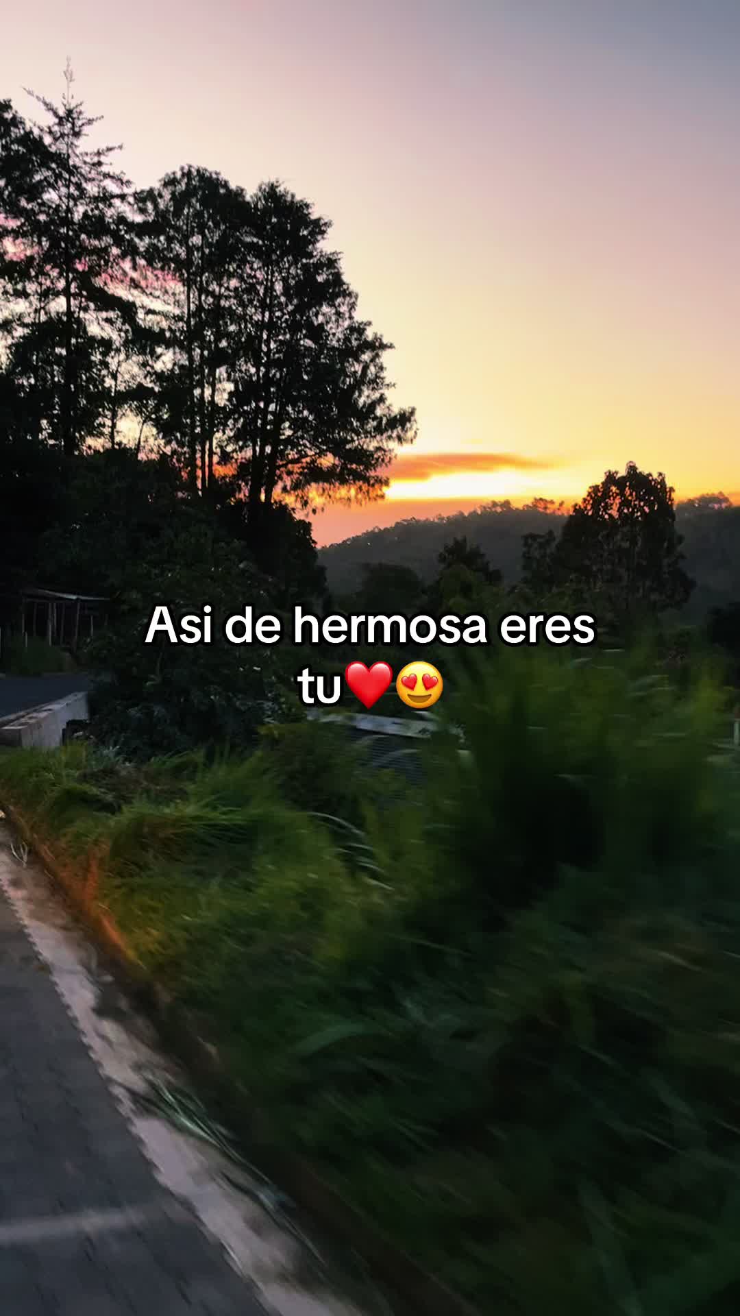 @Selvin 🤍