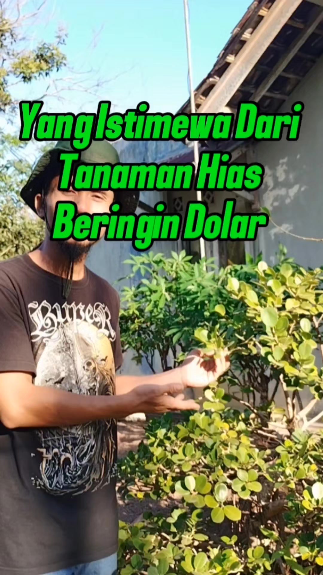 @Bukit Farming