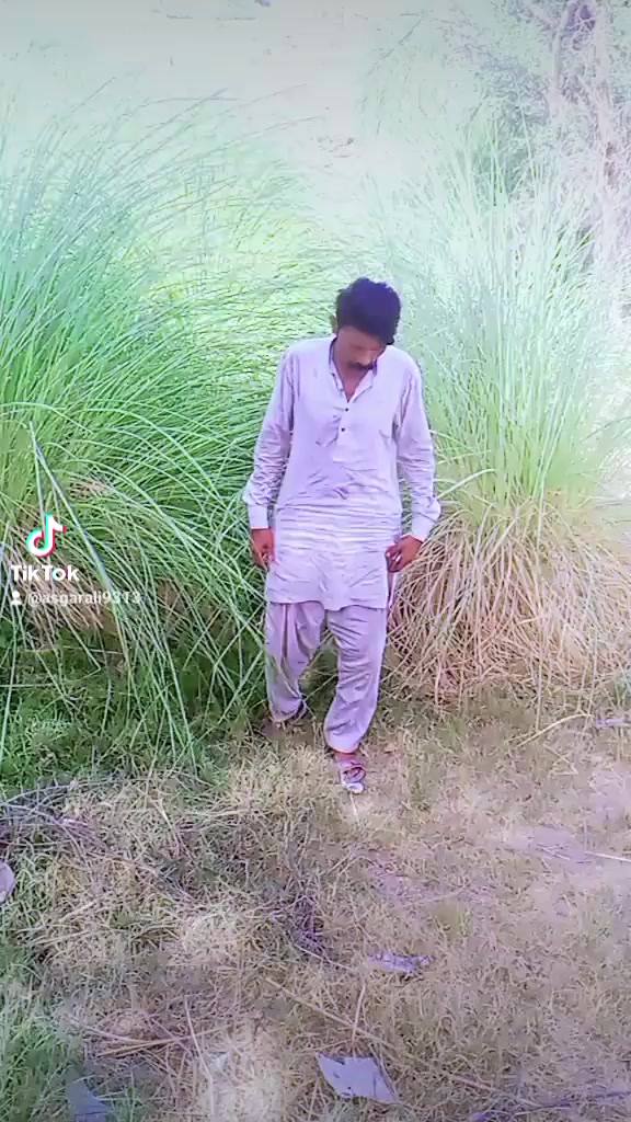 @asgarali9313