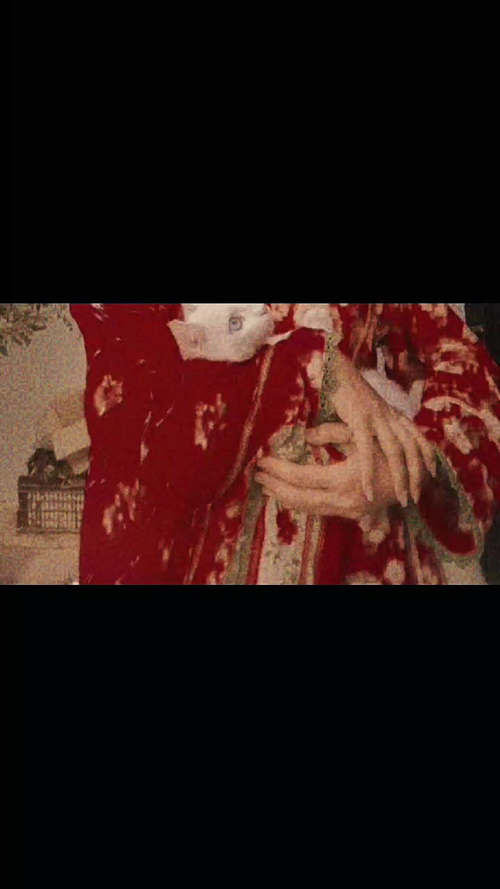 @عریشہ ملک 👑