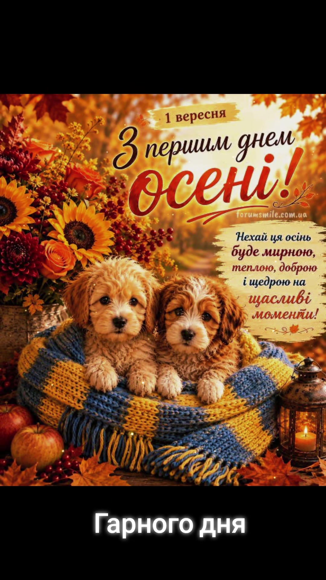 @Анюта Цыганок915