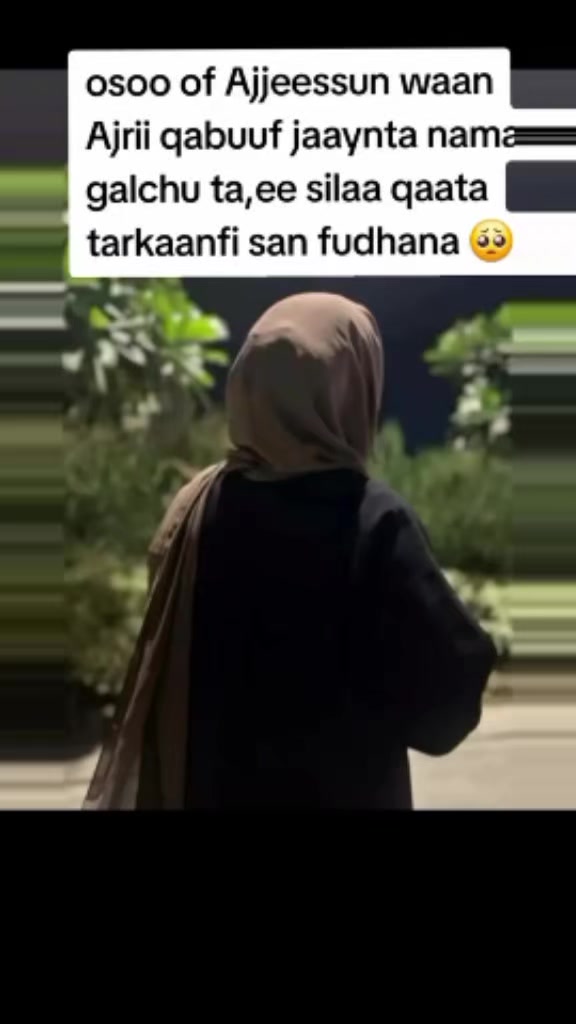 @ofiin bontuu