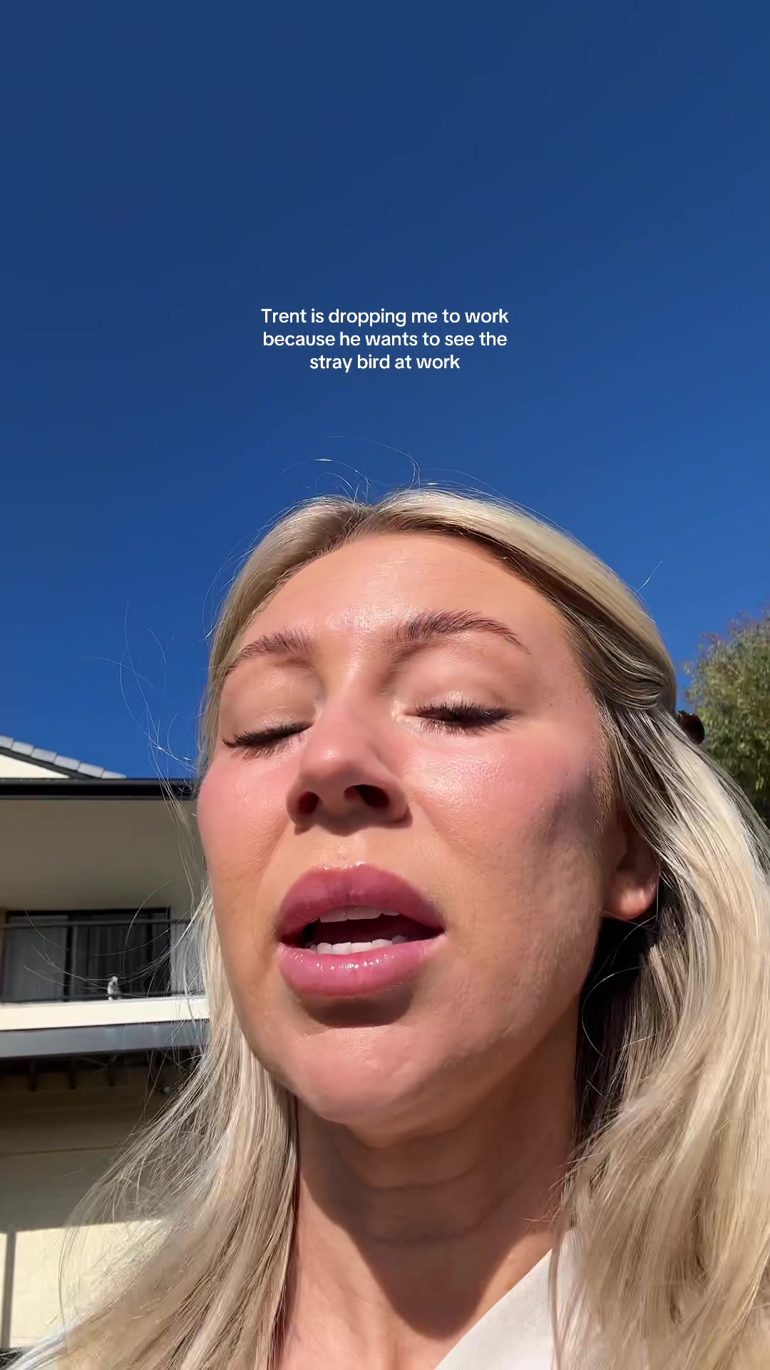@Tess the Vet Nurse