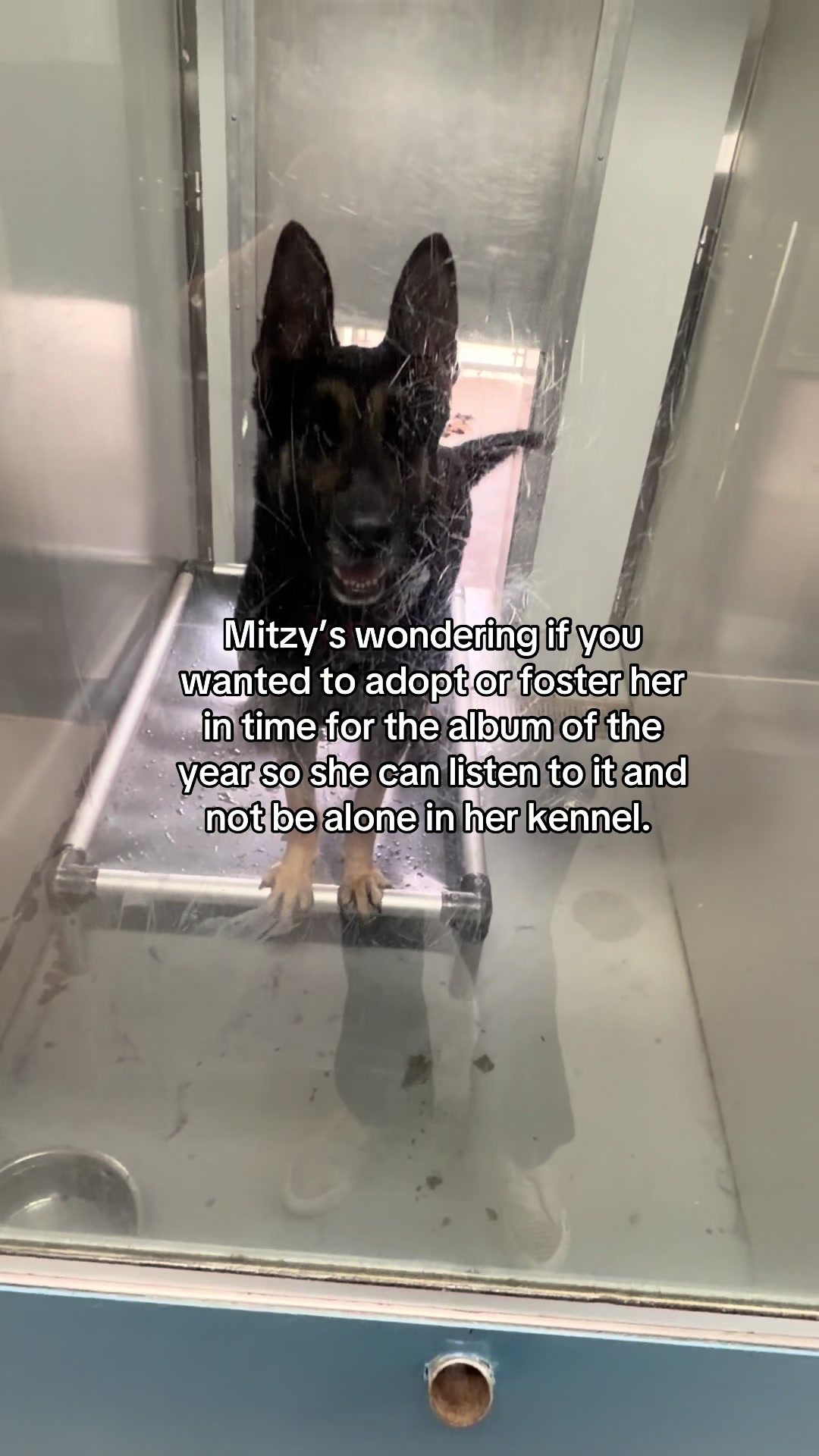 @myTinypurpose