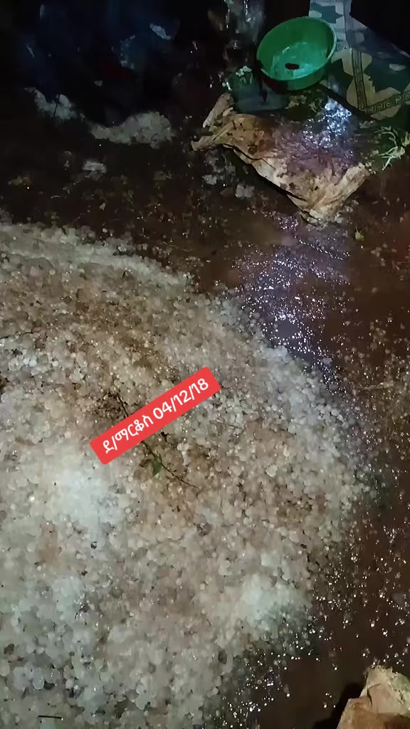 @๐จ๐๐ฃ๐ฉ๐ช โโโโโโโ