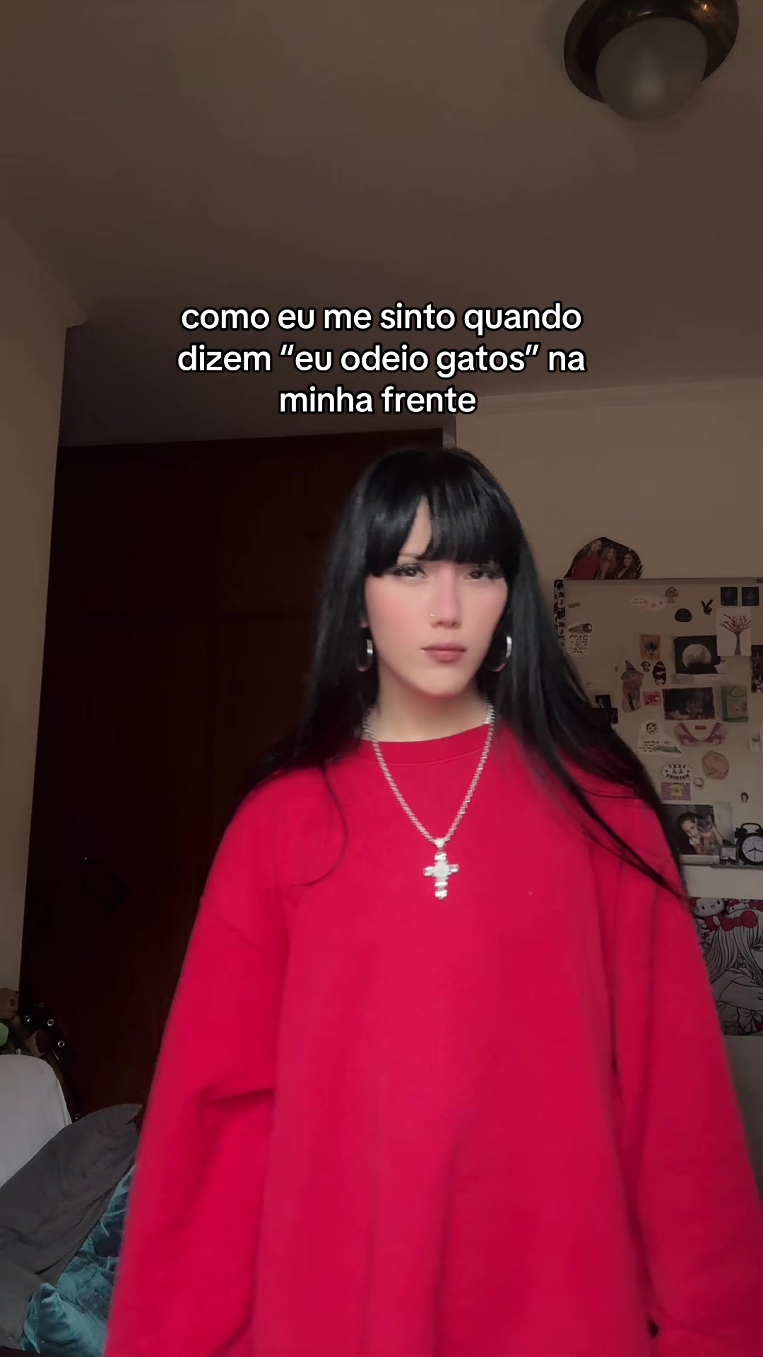 @amora 🐰