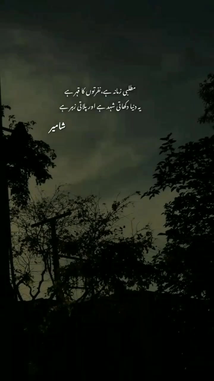@Shameer Shah