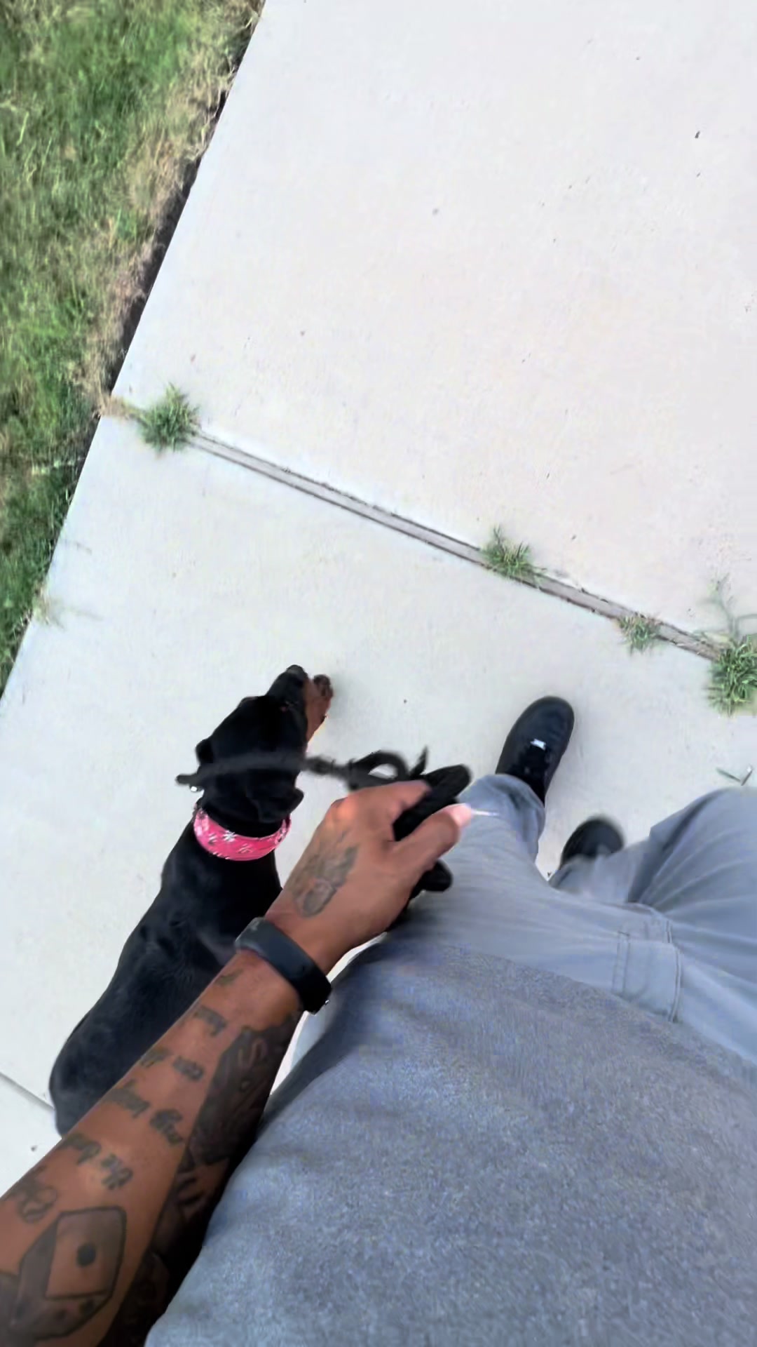 @HardBody K9 Training