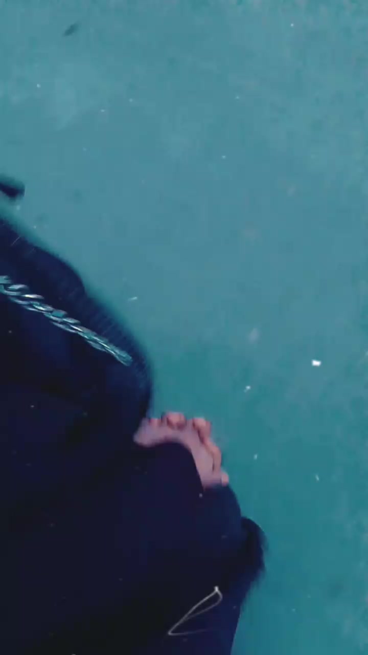 @anikaanni872