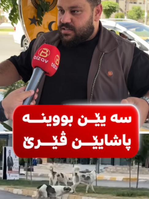 @bizavtv