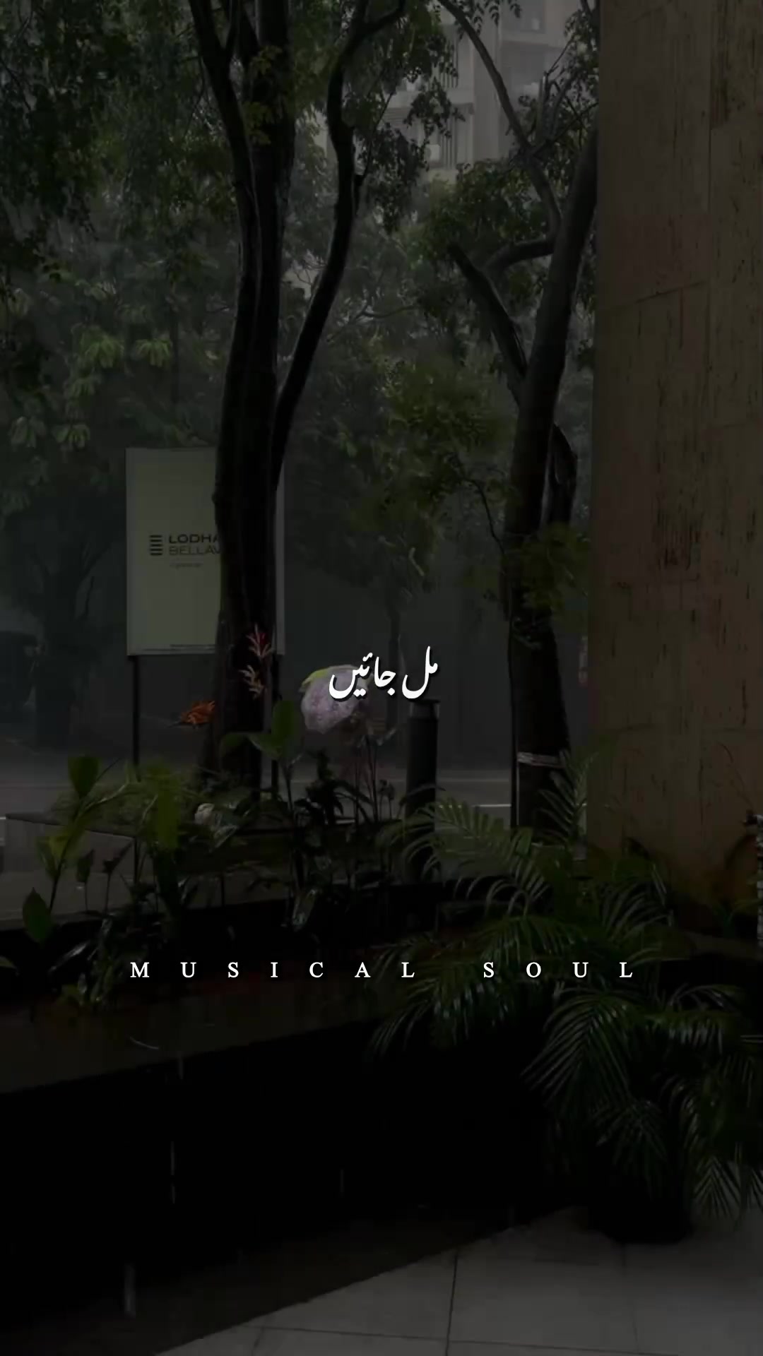 @𝑴𝑼𝑺𝑰𝑪𝑨𝑳 𝑺𝑶𝑼𝑳🎧