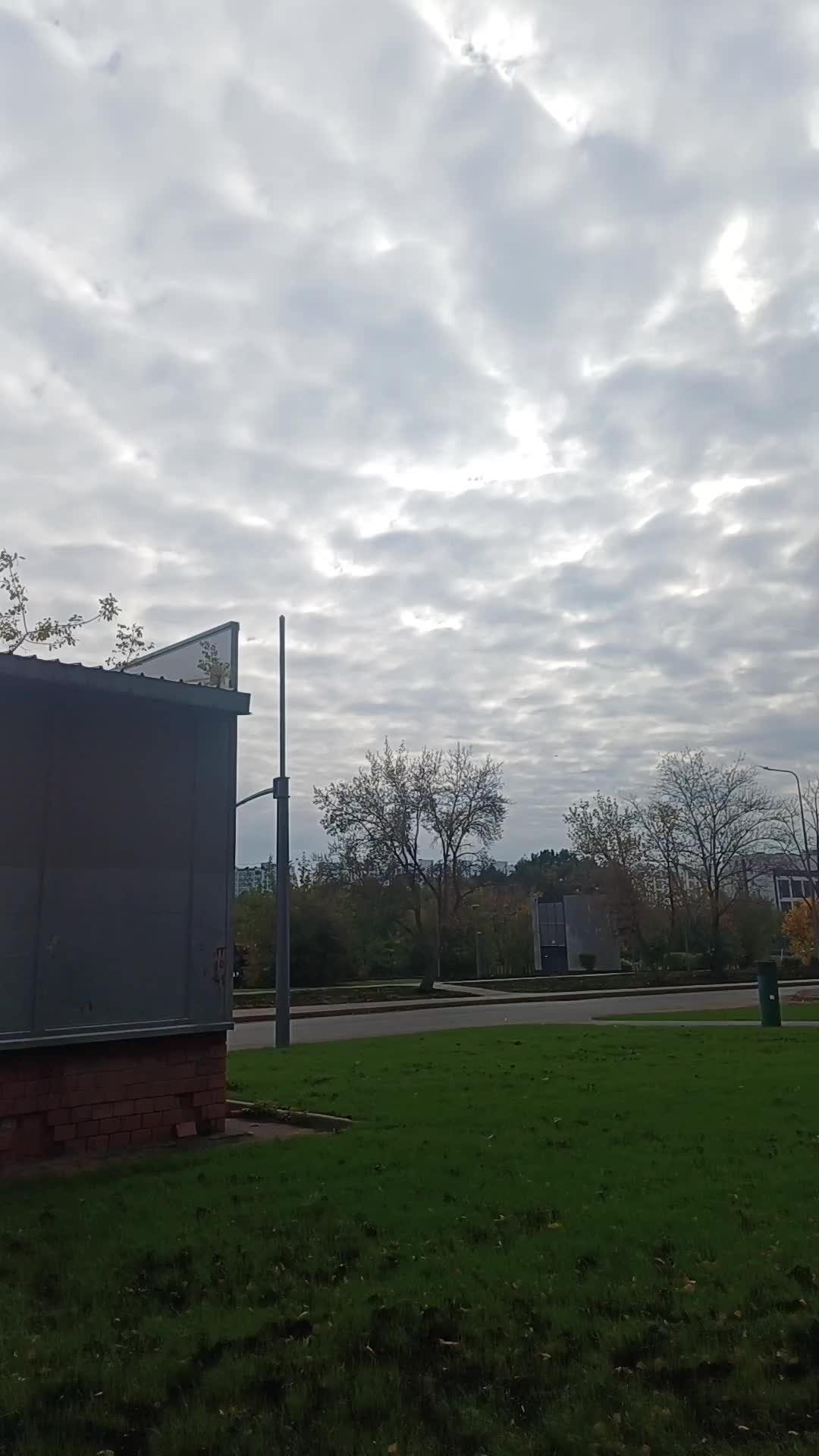 @Незабудка