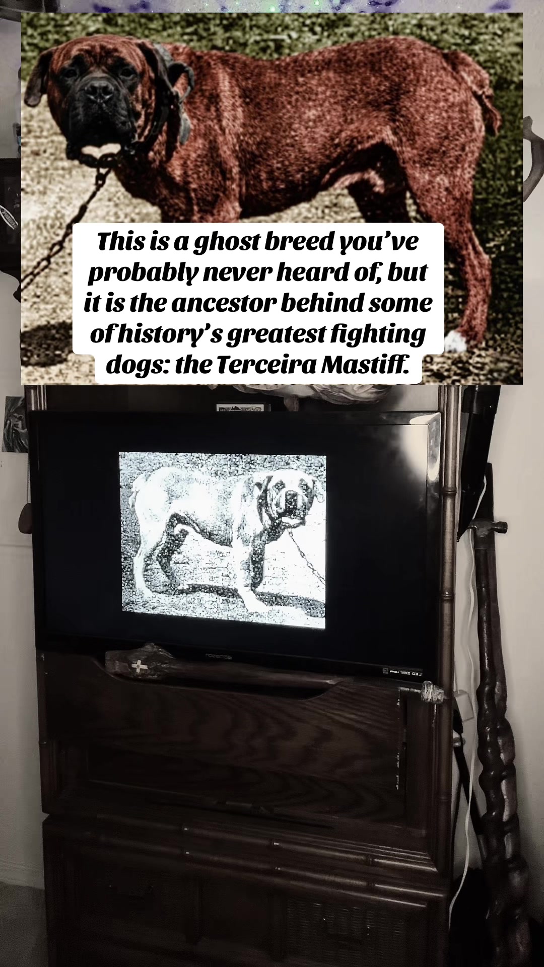@CreaturePreacher