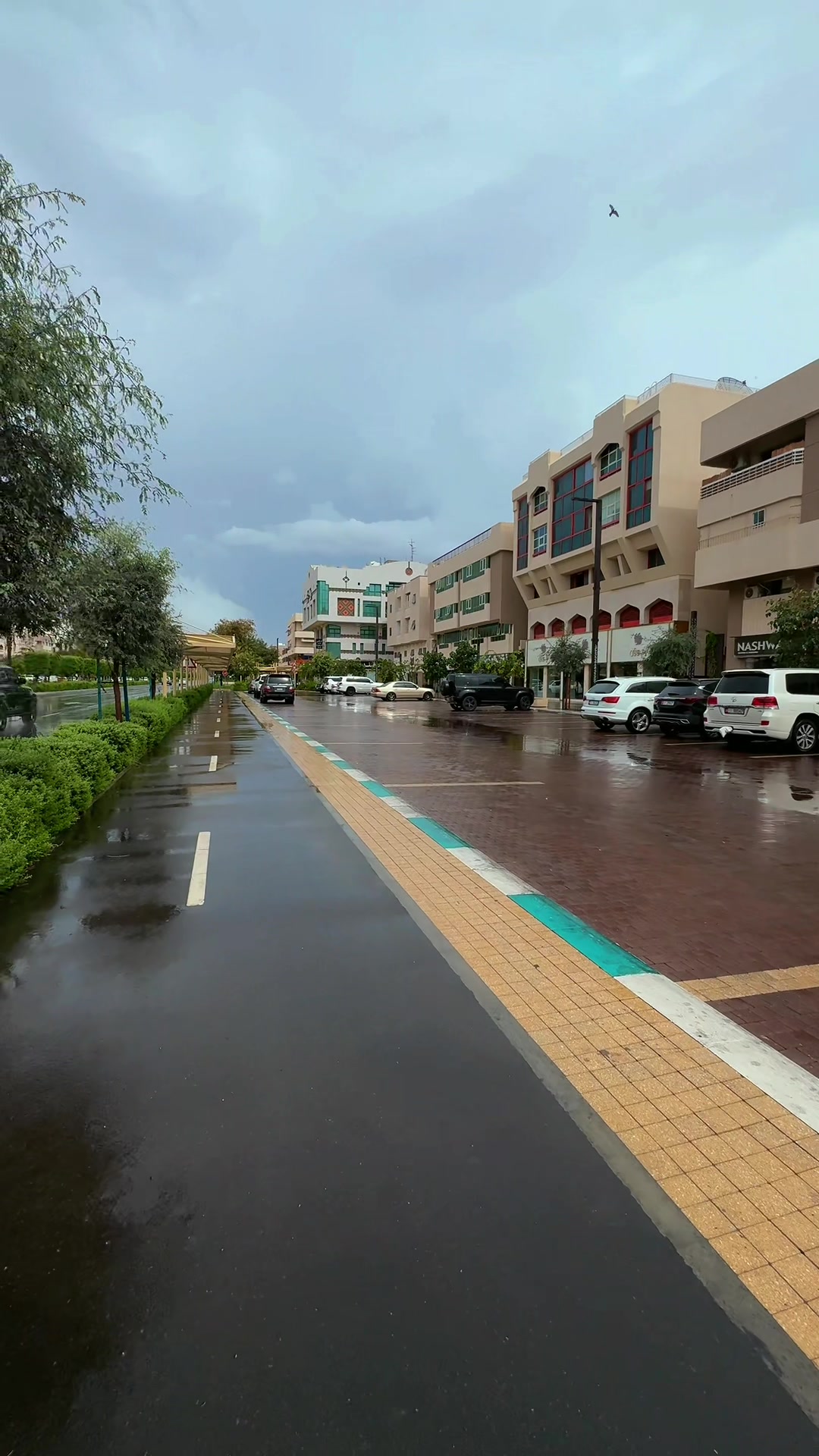 @Saqib Al Ain ๐ฆ๐ช