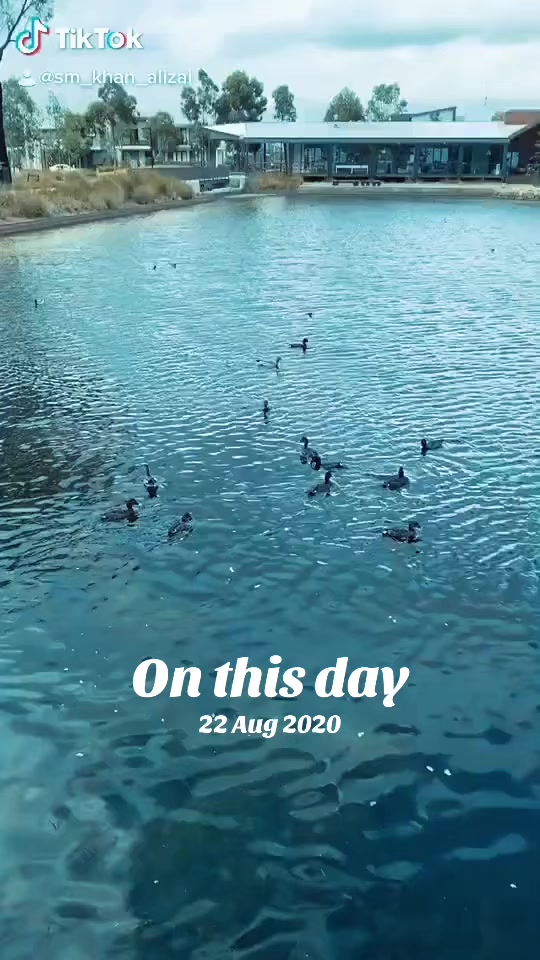 @SM_khan_ALIZAI
