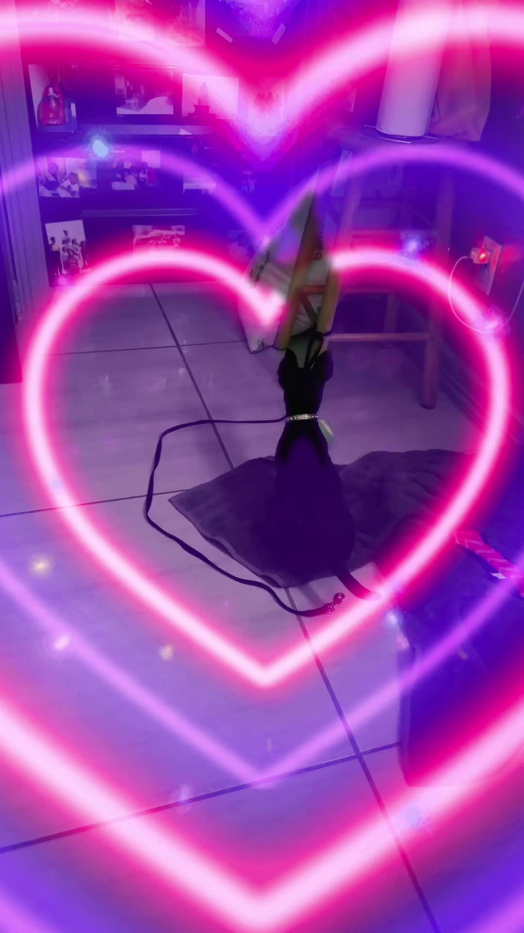 @🥰 Love Roel Anayely🥰