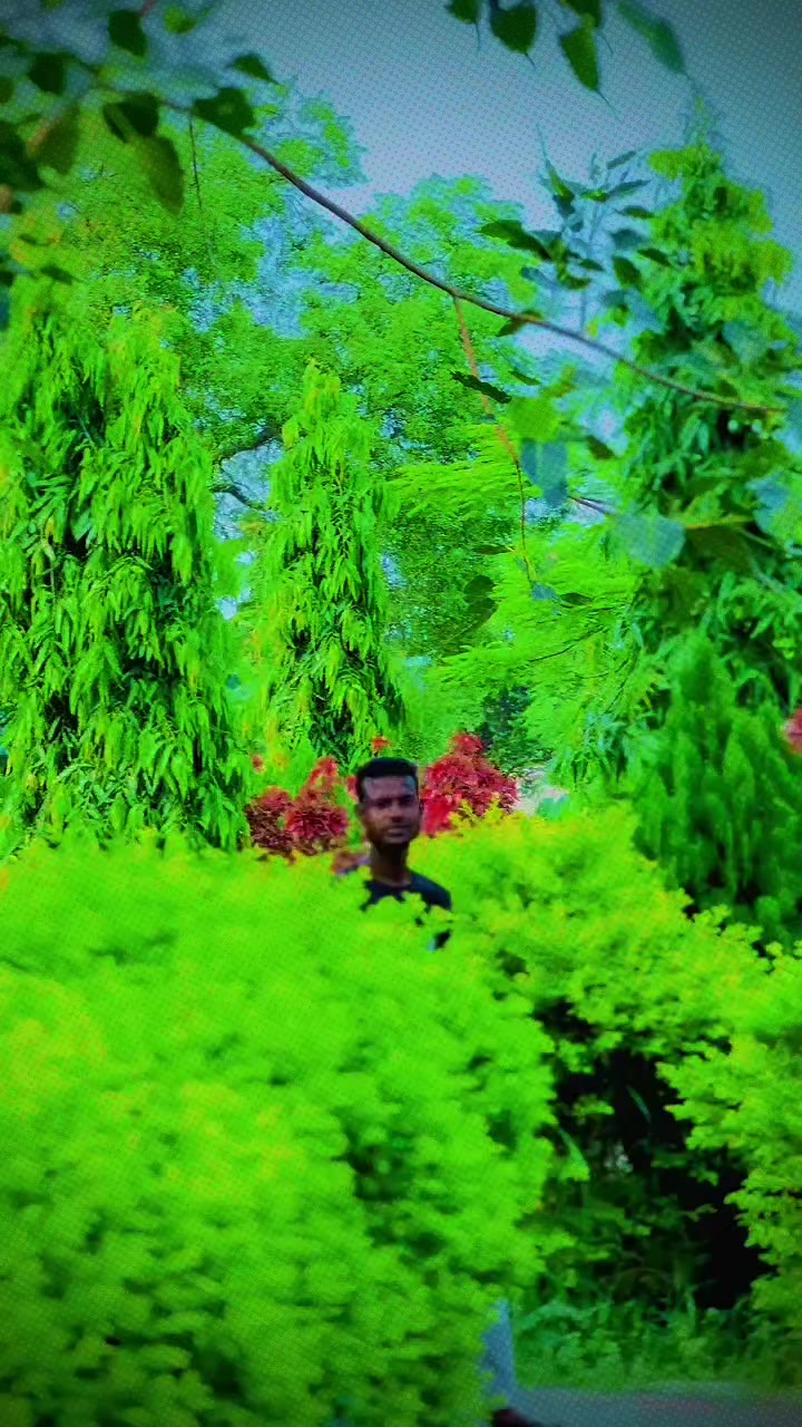 @Mr_mandal