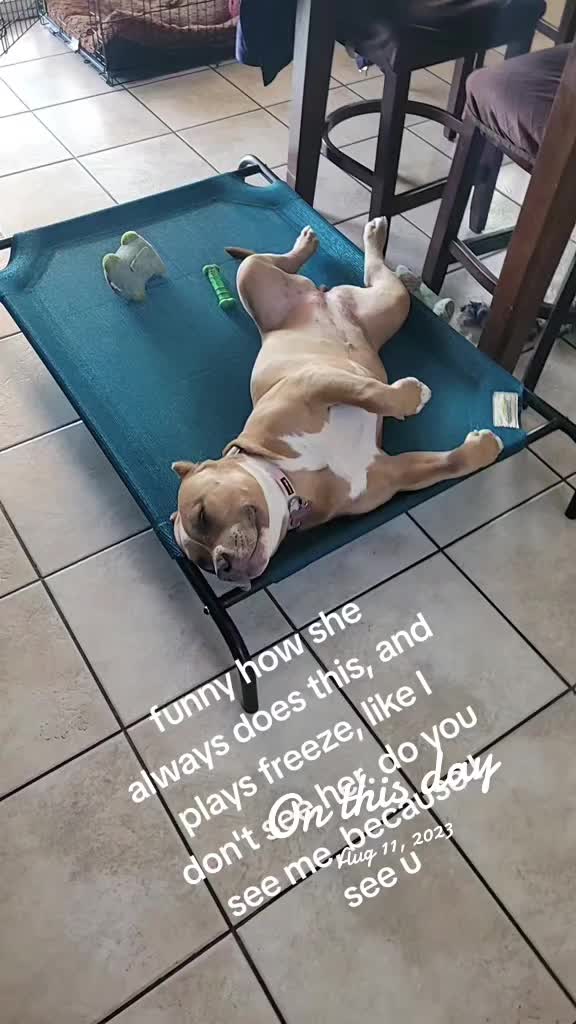 @fairy19