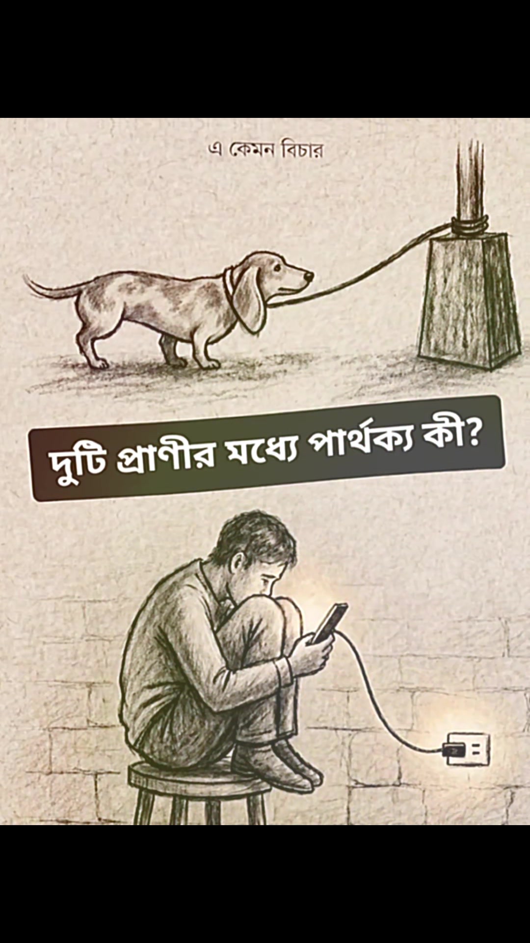 @Md Shamim