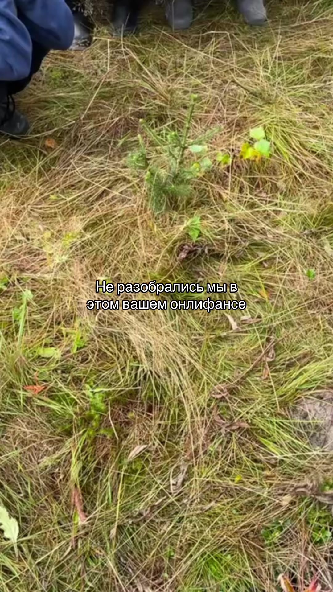 @Сонь