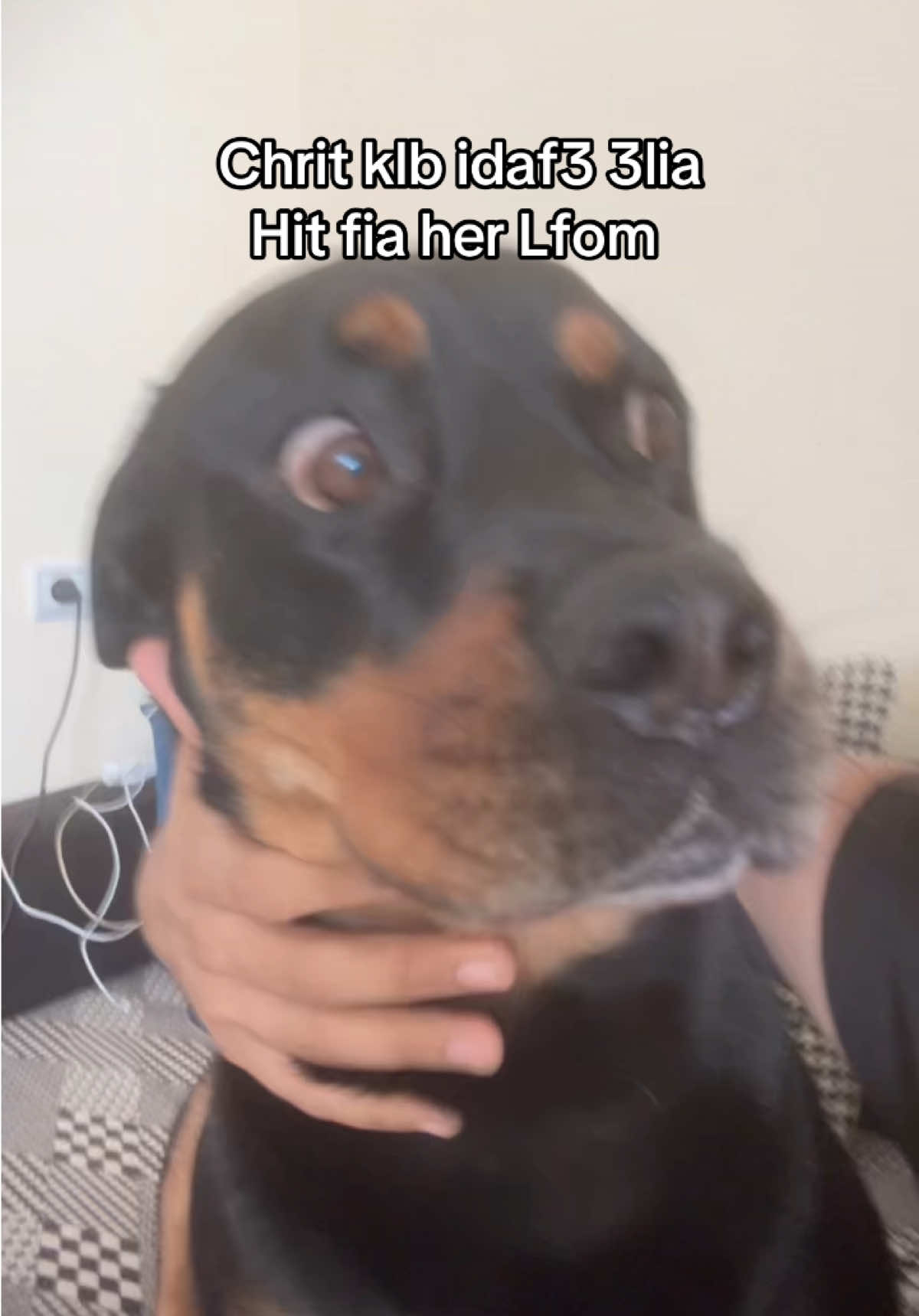@Chmisss