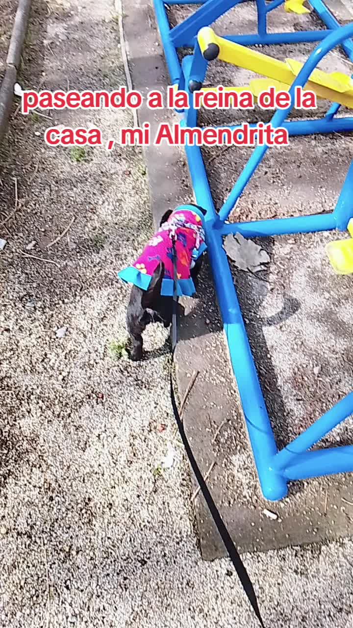 @Canelita@la bonita