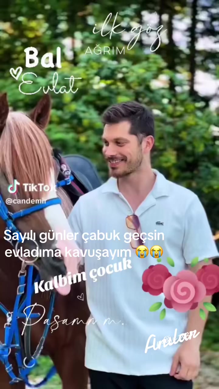 @Gamze Koç