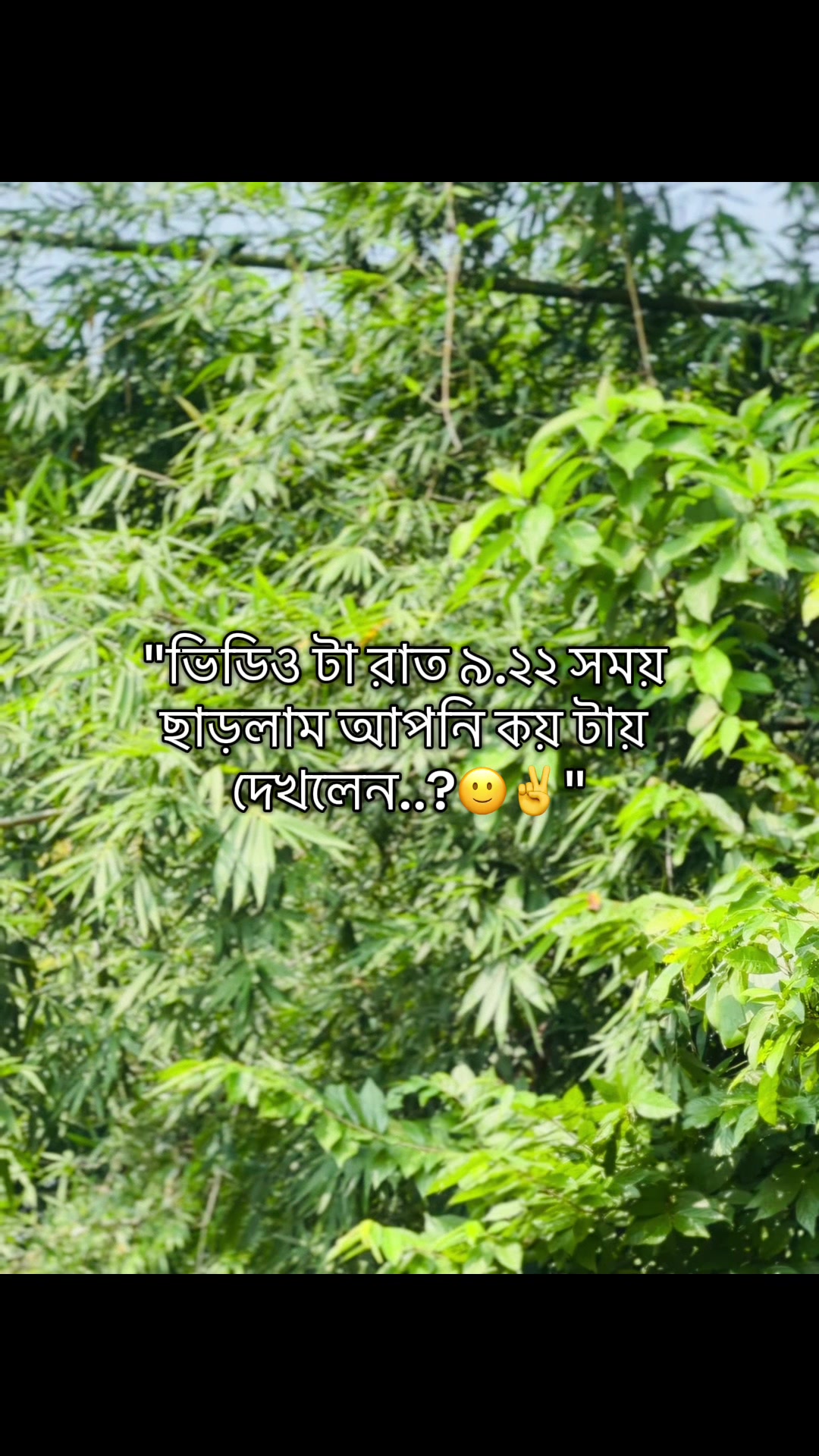 @টিক_টকি 🐸